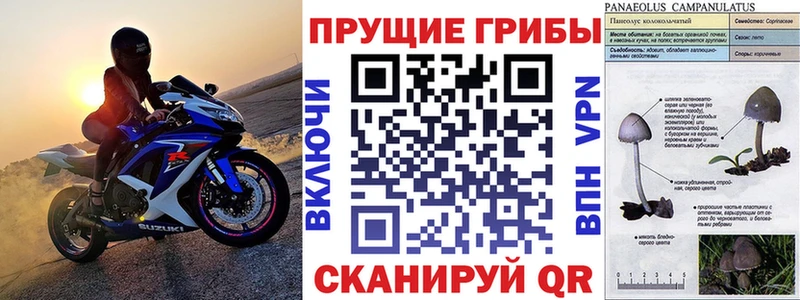 ОМГ ОМГ ONION  Афипский  Псилоцибиновые грибы мухоморы  купить  